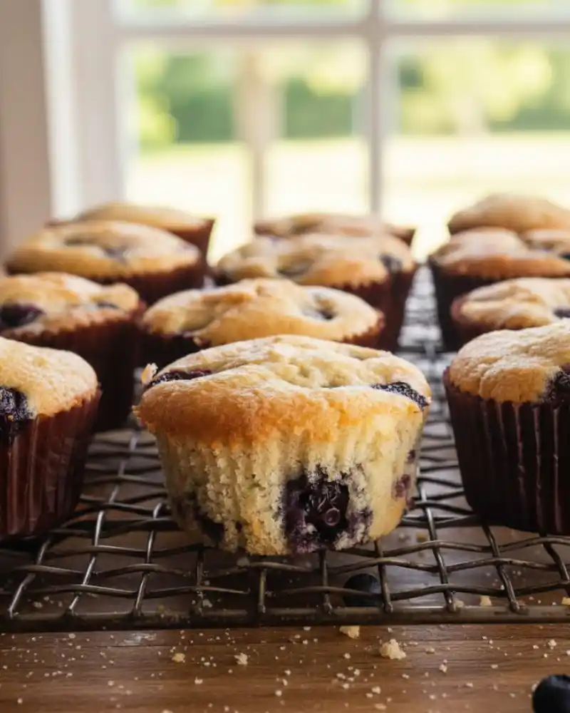Gluten-Free Blueberry Muffins
