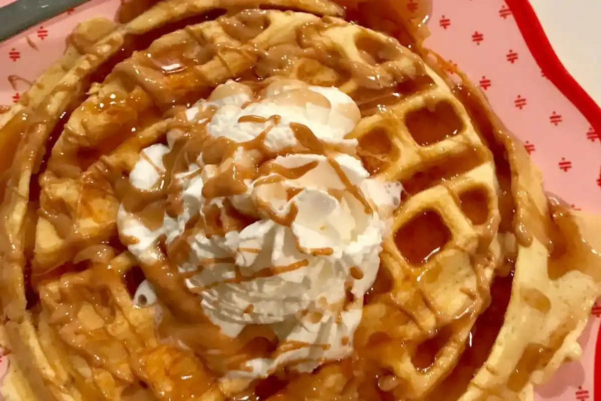 Weight Watchers Protein Waffle
