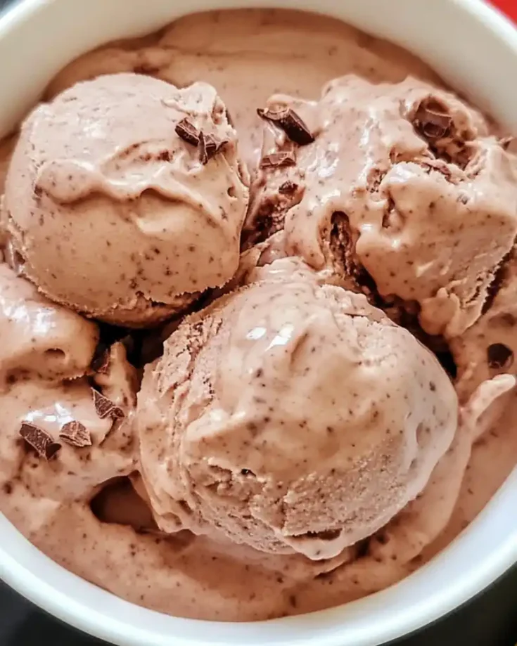 Weight Watchers Chocolate Frozen Yogurt