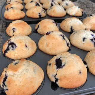 One-Point-Weight-Watchers-Blueberry-Muffins-Recipe