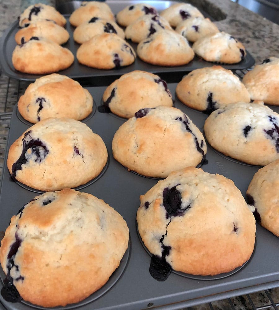 One-Point-Weight-Watchers-Blueberry-Muffins-Recipe