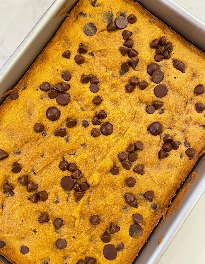 Weight Watchers Pumpkin Chocolate Chip Bars