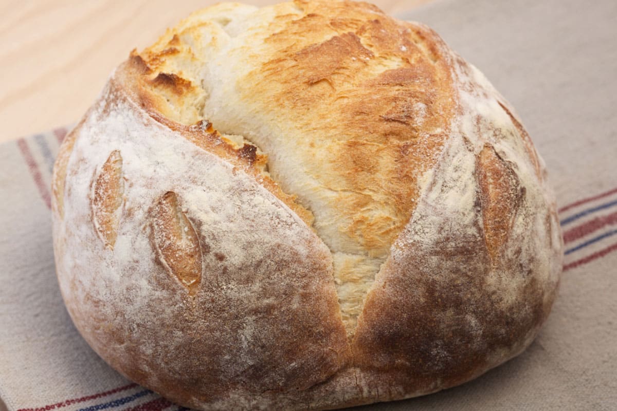 Sourdough Bread Recipe