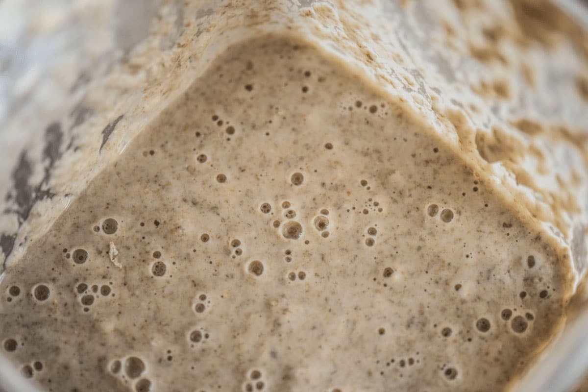 How To Make Sourdough Starter