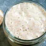 Easy Gluten-Free Sourdough Starter