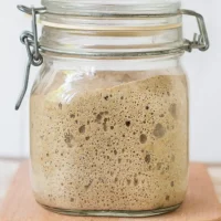 Gluten Free Sourdough Starter Recipe