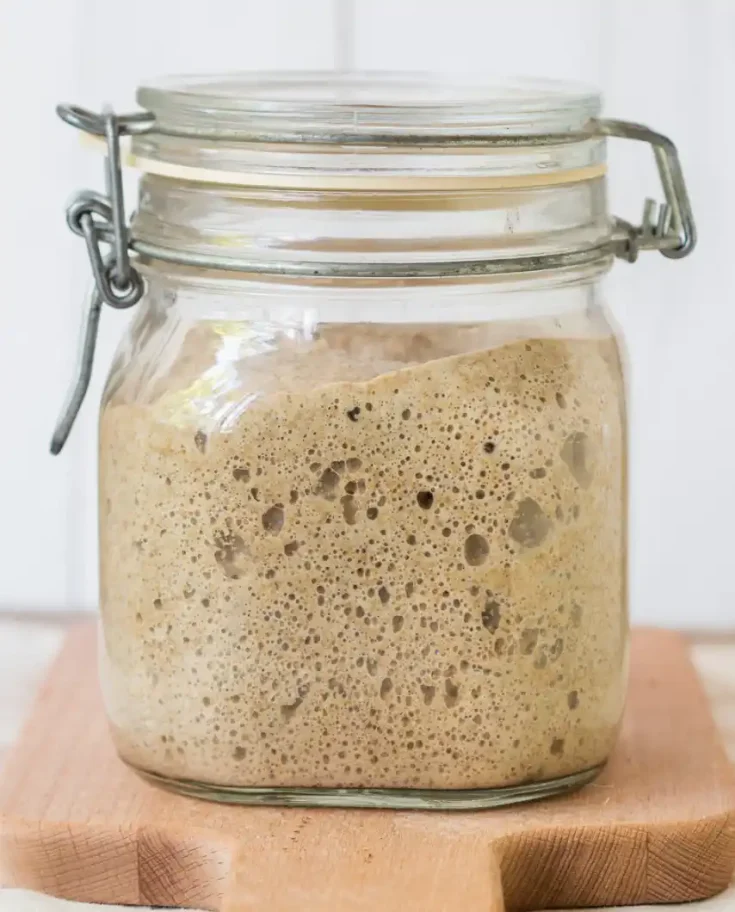 Gluten-Free Sourdough Starter Recipe