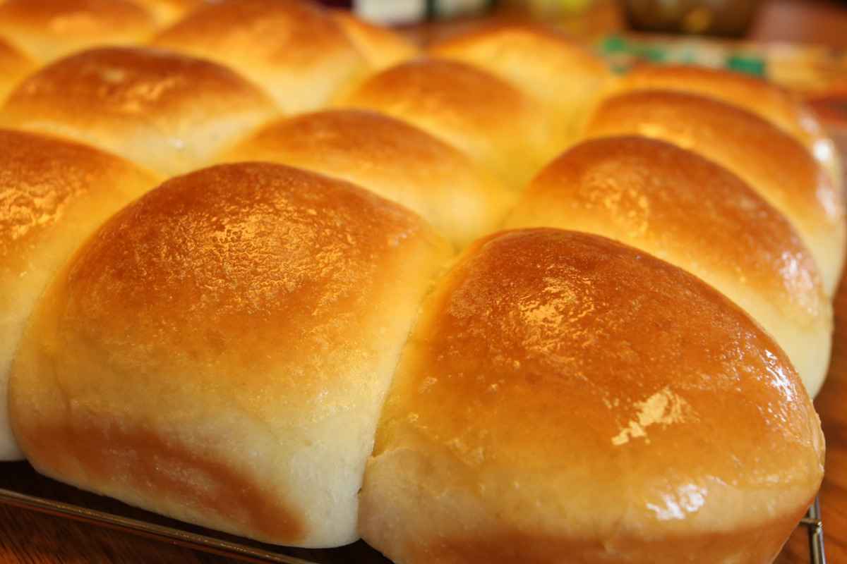 Easy Sourdough Dinner Rolls