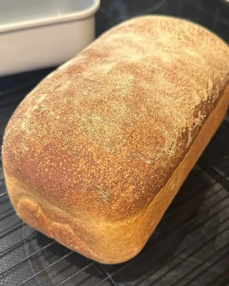 Gluten-Free Sandwich Bread