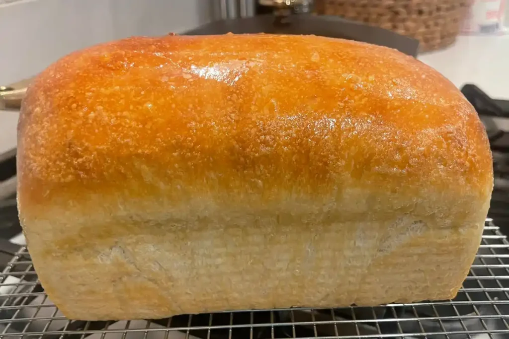 Gluten-Free Sandwich Bread