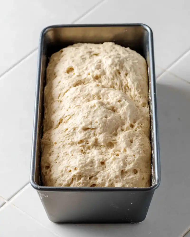 Gluten Free Sandwich Bread