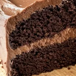 Easy Sourdough Discard Chocolate Cake Recipe