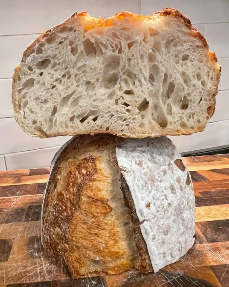 Freshly baked organic sourdough bread sliced open